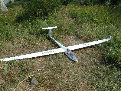 DG600_a.jpg (65546 bytes)