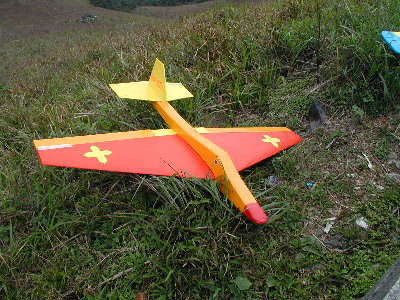 F21a.jpg (59960 bytes)