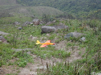 F21d.jpg (55688 bytes)