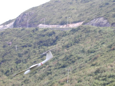 Triffik4.jpg (38023 bytes)