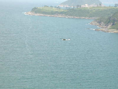 Triffik5.jpg (27283 bytes)