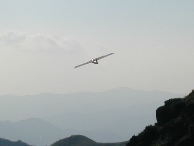 Triffik7.jpg (13271 bytes)