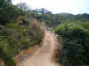 This is a new road leading up to the mountain (122267 bytes)