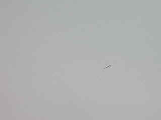 Shooting Star on a high speed dive and roll (1451519 bytes)