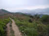 SamMunTsai6.jpg (80897 bytes)