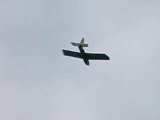 Soaring peacefully in Kowloon Peak (2092679 bytes)