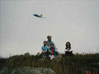 fsoar1.jpg (36750 bytes)
