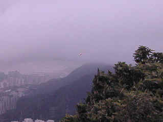 Gulp DS on a highspeed flypass and aerobatic roll (1861171 bytes)