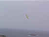 See a movie for NYX F3F on slope soaring on the upper slope (8245739 bytes)