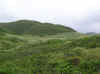 There is a small valley with thick vegetation - ng... good for landing? (101183 bytes)