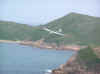The slope is straight and long engouh for running F3F races and most importantly, the lift is fantastic! (66870 bytes)