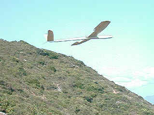 Close flypass with butterfly deployed (532667 bytes)
