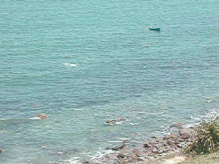 Soaring peacefully along the slope rdge in Grass Island (4074723 bytes)