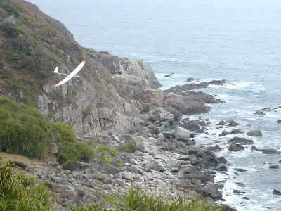 st_tm8.jpg (113263 bytes)