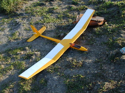 amdsparrow1.jpg (62795 bytes)