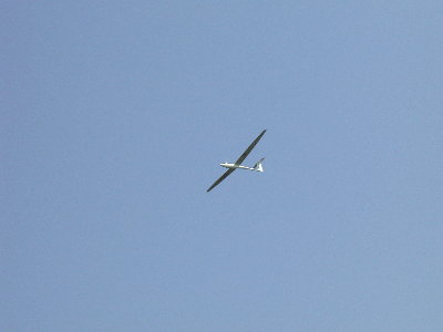 ash26_3.jpg (8673 bytes)
