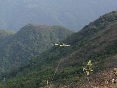 banana6.jpg (35207 bytes)