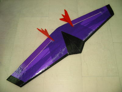 bat1.jpg (15648 bytes)
