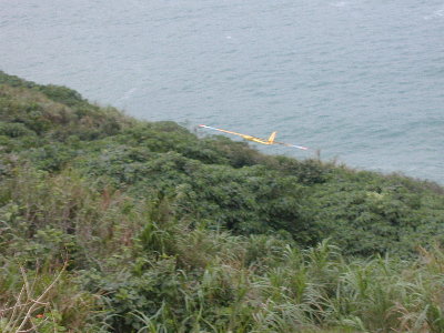 bipbip6.jpg (33742 bytes)