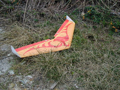 bommerang.jpg (67376 bytes)