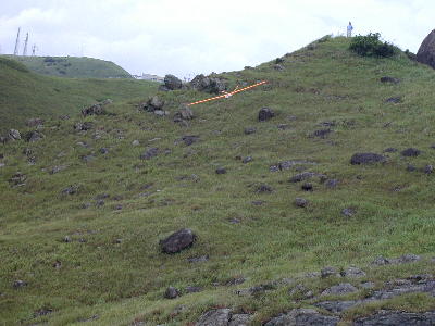carbonS9.jpg (25664 bytes)