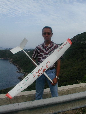 dart0.jpg (28356 bytes)