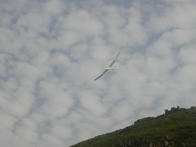 dart1.jpg (15388 bytes)