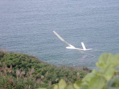 dart4.jpg (33767 bytes)