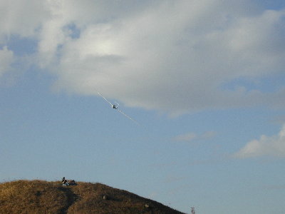 dg505h.jpg (13641 bytes)