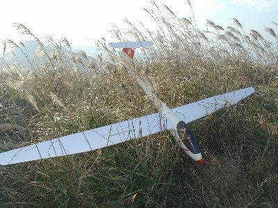ems_asw27a.jpg (52221 bytes)