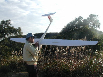 ems_asw27b.jpg (40341 bytes)