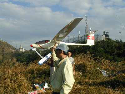 ems_asw27c.jpg (41697 bytes)