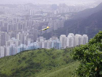 gulp3.jpg (24576 bytes)