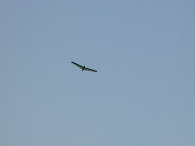 me163_e.jpg (7638 bytes)