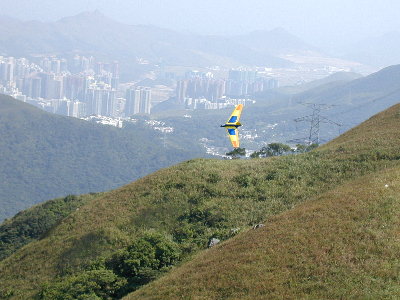 me163_f.jpg (34935 bytes)