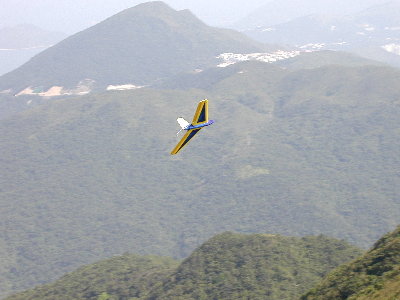 me163_g.jpg (23678 bytes)