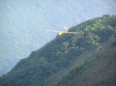 minipike4.jpg (21497 bytes)