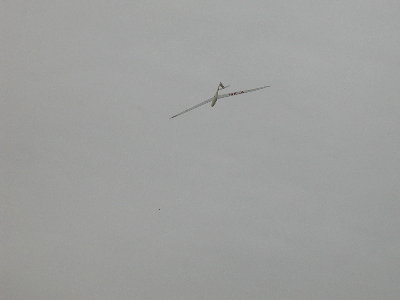 nimbus4m6.jpg (7713 bytes)