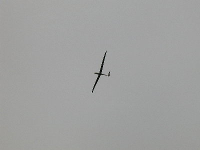 nimbus4m8.jpg (7577 bytes)