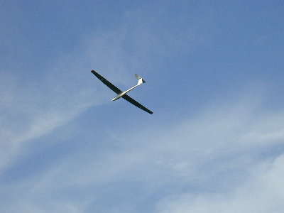 scorpio3.jpg (12167 bytes)
