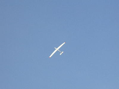 scorpio5.jpg (5214 bytes)