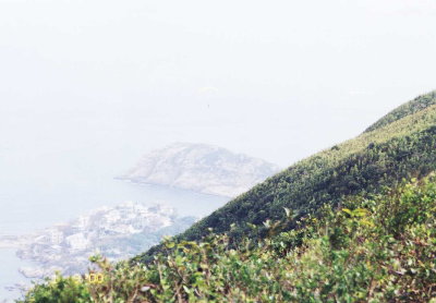 sheko1.jpg (24584 bytes)