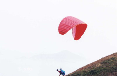 sheko2.jpg (9801 bytes)