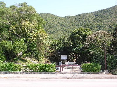 sheko6.jpg (44303 bytes)