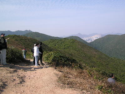 sheko9.jpg (29769 bytes)