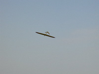 shootingS9.jpg (8545 bytes)