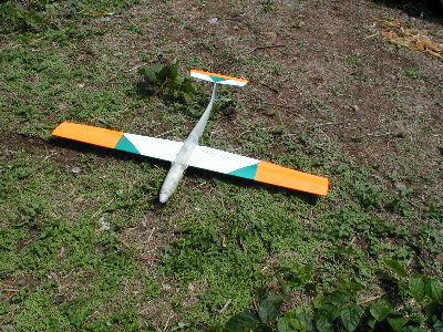 SkaT1.jpg (66150 bytes)