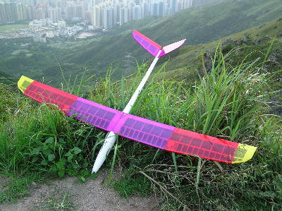 trendy1.jpg (39818 bytes)