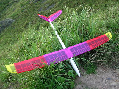 trendy2.jpg (43242 bytes)