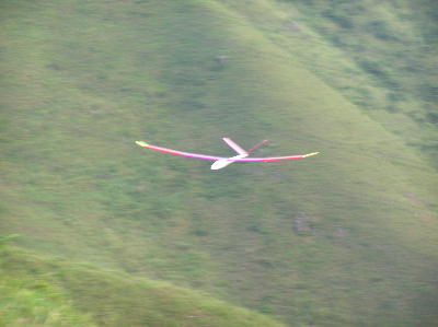 trendy3.jpg (15448 bytes)